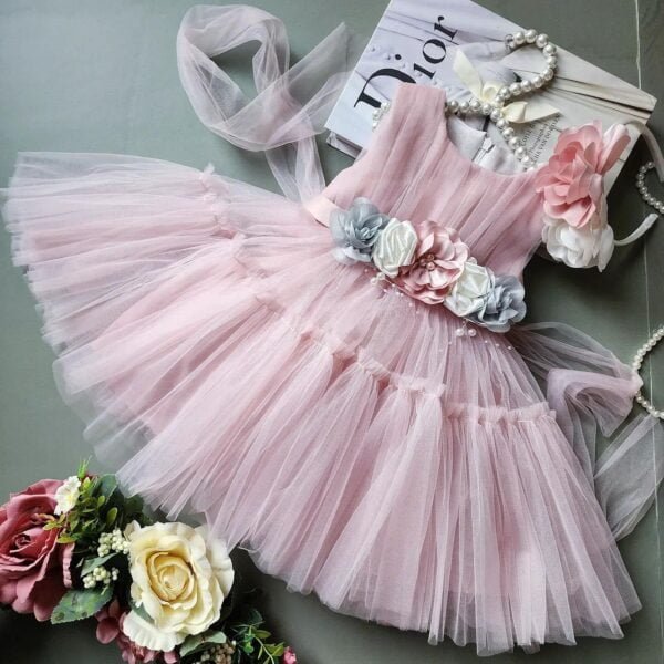 Crown Baby Dress new collection
